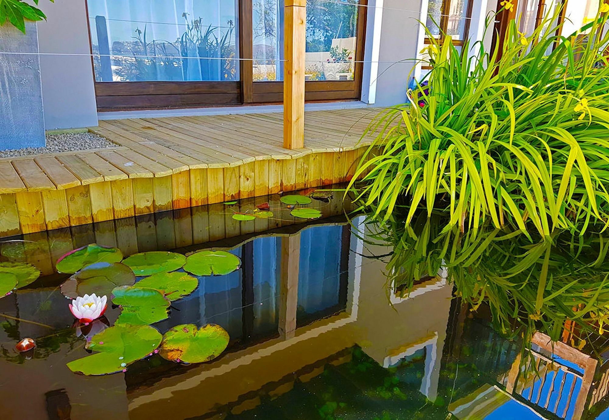 Hotel Claude Knysna Exterior photo
